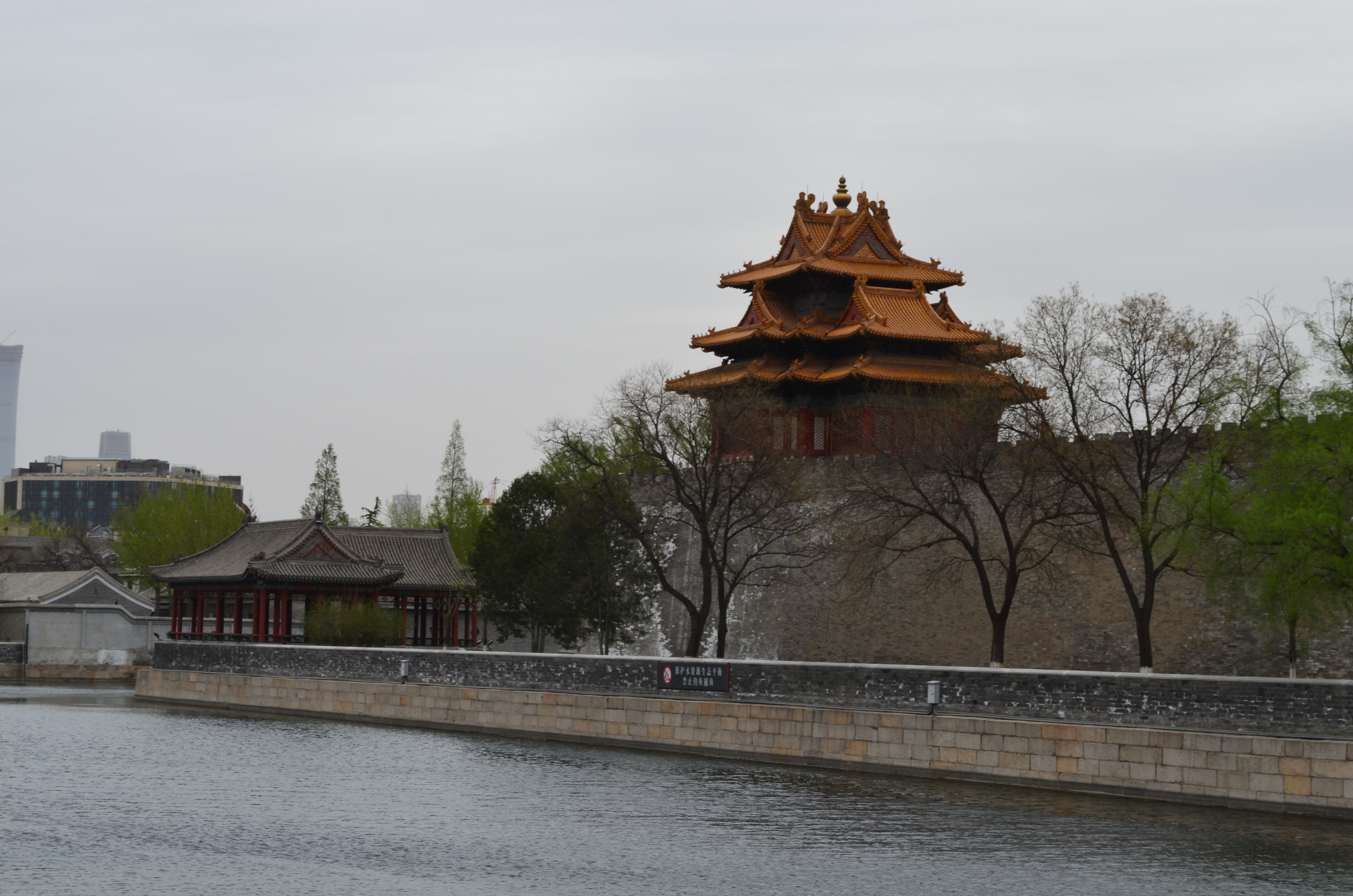 ./2018/03 - Viking China/06 - Forbidden City/DSC_11010.JPG